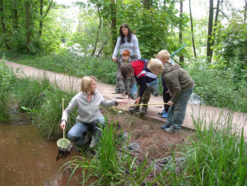 Fradley Junction Nature Reserve